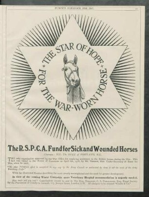 The star of hope for the war worn horste. The R.S.P.C.A. Fund for Sick and Wounded Horses