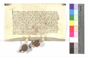 Hans Hoffmann zu Eschenau (Eschnaw) bekennt, ein Leibeigener der Abtei zu Ellwangen zu sein.