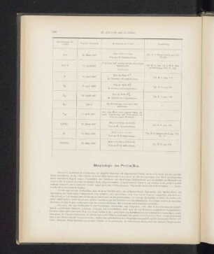 Morphologie des Pestbacillus.