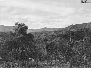 Landschaft : Blick von einer Anhöhe in das bewaldete Tal und auf die bergige Umgebung