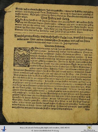 Nun folget eine kurtze und wahrhaffte Relation...