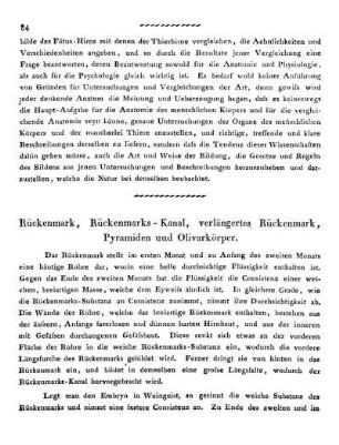 Rückenmark, Rückenmarks-Kanal, verlängertes Rückenmark, Pyramiden und Olivarkörper.