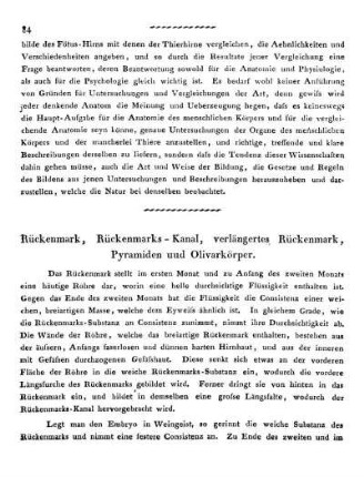 Rückenmark, Rückenmarks-Kanal, verlängertes Rückenmark, Pyramiden und Olivarkörper.