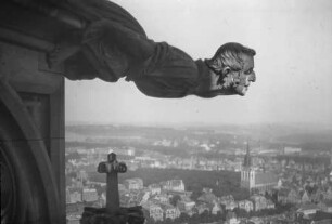 Ulm