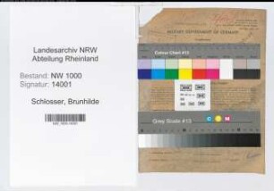 Entnazifizierung Brunhilde Schlosser, geb. 16.06.1907 ()