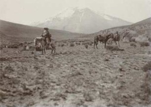 Chimborazo aus Norden, von Cucyacu