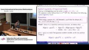 Subsurface flow with uncertainty : applications and numerical analysis issues