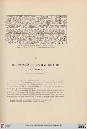 XI: Les poissons du tombeau de Mera à Sakkara