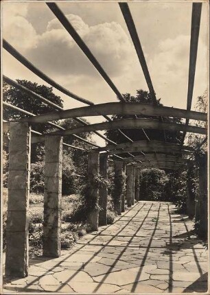 Freundschaftsinsel, Potsdam: Pergola