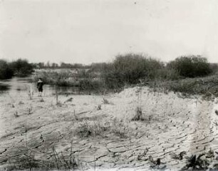 Trockenrisse, Elsterschlamm, Hartmannsdorf : (heute Stausee)