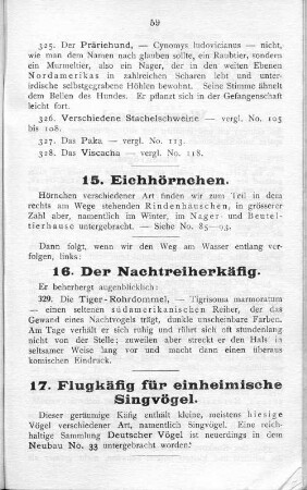 15. Eichhörnchen.