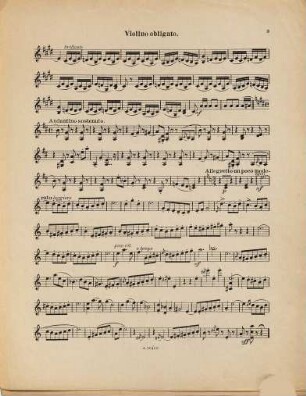 Fantasie aus Der Bajazzo - Pagliaccio : von R. Leoncavallo