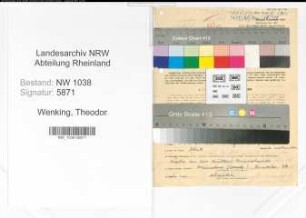 Entnazifizierung Theodor Wenking , geb. 09.06.1891 (Stadtrat)