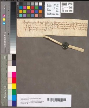 Belofte van Filips van Polanen, Ridder, om den Heer van Brederode schadeloos te houden van de beloften, die hij met hem gedaan had aan Heer Jan van Buren, Heer-Ottenzoon, in verband met diens huwelijk met Katrine, dochter van voornoemden Filips, 24 Januari 1372. Perkament met een stuk van een uithangend zegel.