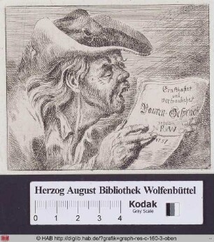 Brustbild eines alten lesenden Bauern