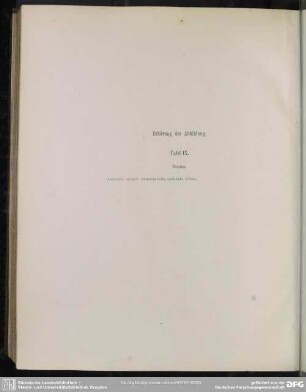 Erklärung der Abbildungen. Tafel IX