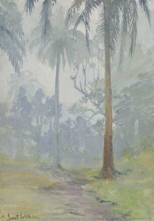 Nebel bei Soppo / Großer Kamerunberg