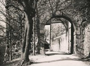 Blankenburg (Harz). Portal zum Schloss Blankenburg (Großes Schloss); errichtet ab 12. Jh.