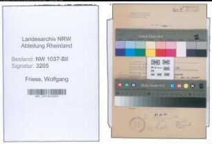 Entnazifizierung Wolfgang Friese , geb. 31.01.1915 (Zollassistent)