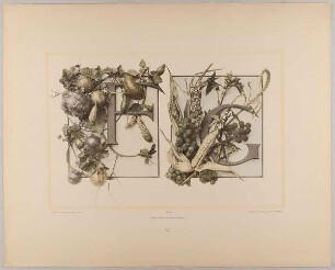 VI. Initiale F G mit Kürbissen mit Gurken - Mais und Ricinus