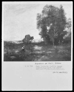 Sommerlandschaft