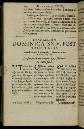 Evangelium Dominica XXIV. Post Trinitatis.