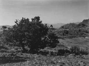 Berglandschaft : Blick über eine bergige Landschaft