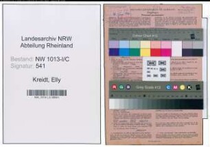 Entnazifizierung Elly Kreidt , geb. 19.01.1911 (Gastwirtin)