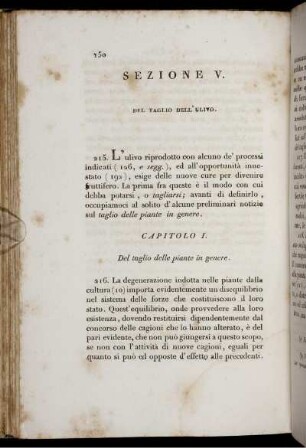 Sezione V. Del Taglio Dell' Ulivo.