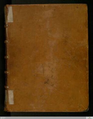 Evangeliar - Cod.bibl.fol.28