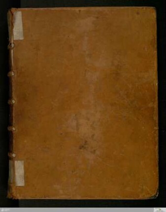 Evangeliar - Cod.bibl.fol.28