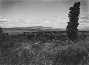 Savanne : Savanne in Kenia