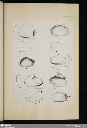 Tafel XXII