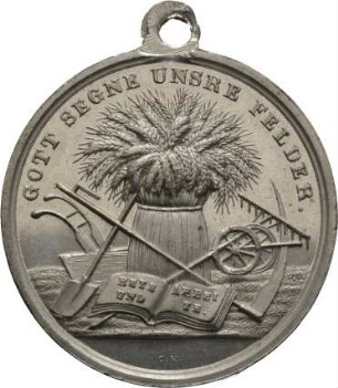 Medaille, 1877