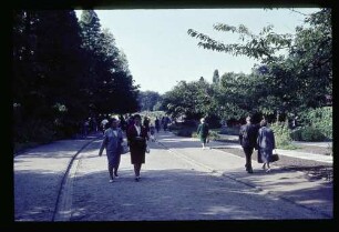 Botan. Garten 23.8.64.