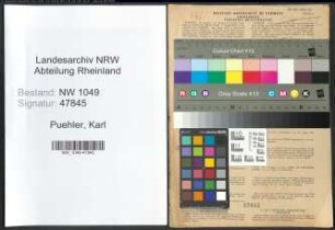Entnazifizierung Karl Puehler , geb. 09.03.1906 (Ingenieur)