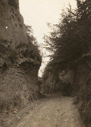 Baden. Kaiserstuhlgebirge. Hohlweg im Löss
