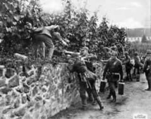 Deutsche Soldaten in den Vogesen bringen Maschinengewehre in einem Weinberg in Stellung