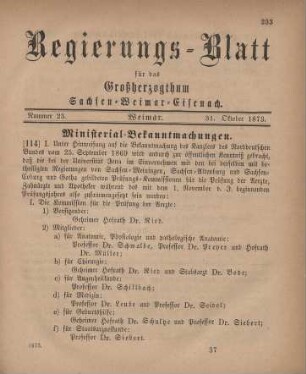 Nr. 23 : 31. Oktober 1873