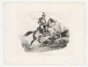 Cheval normand