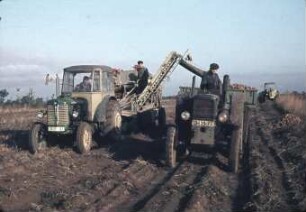 Kartoffel-Sammelroder Typ E 675/1 (DDR)