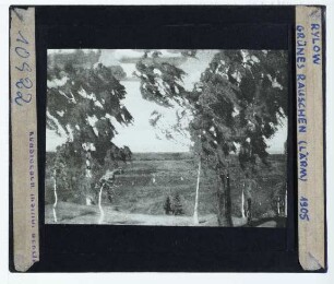 Rylow, Grünes Rauschen (Зеленый шум), 1904