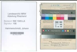 Entnazifizierung Johann Hammerschmidt , geb. 27.10.1900 (Angestellter)