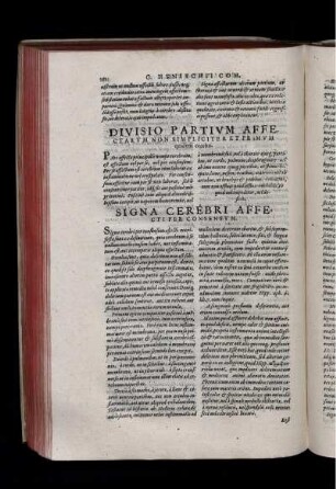 Divisio Partium Affectarum Non Simpliciter Et Primum quidem cerebri