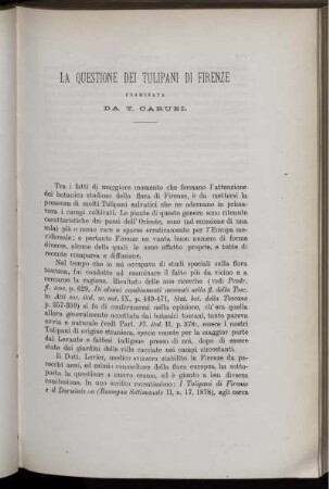 La Questione Dei Tulipani Di Firenze