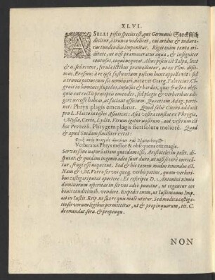 XLVI. Non Nisi Contusus.