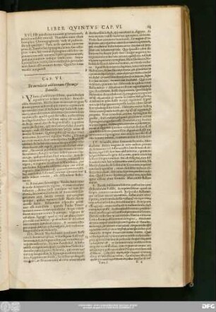 Cap. VI. De mendaciis additionum Esterae & Danielis.