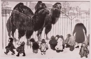 Kamele (aus der Serie: Zoologischer Garten)