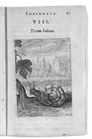 VIII. Tecum habita.