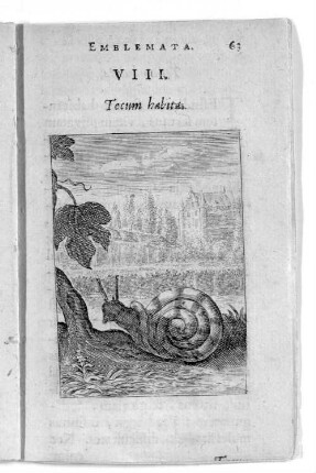 VIII. Tecum habita.